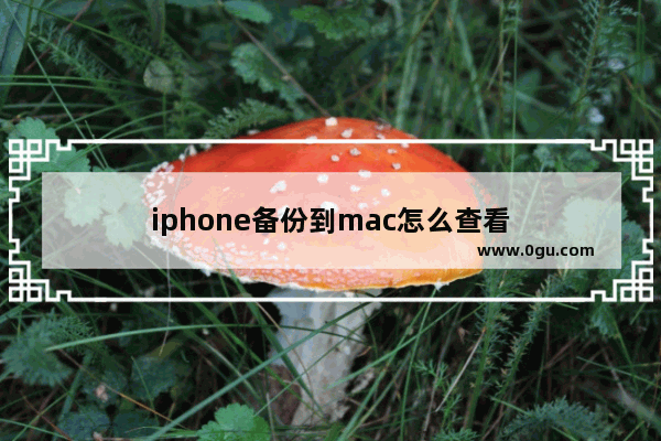 iphone备份到mac怎么查看