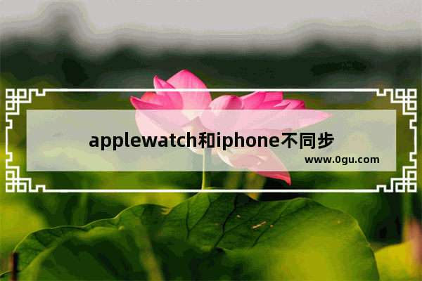 applewatch和iphone不同步