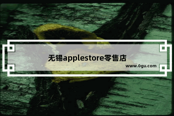 无锡applestore零售店