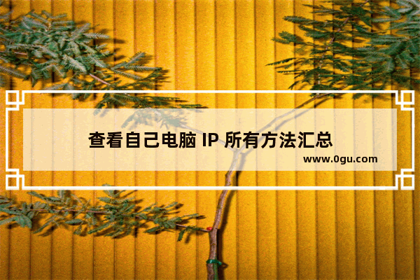 查看自己电脑 IP 所有方法汇总