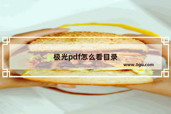 极光pdf怎么看目录