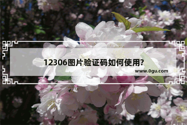 12306图片验证码如何使用?