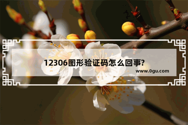 12306图形验证码怎么回事?