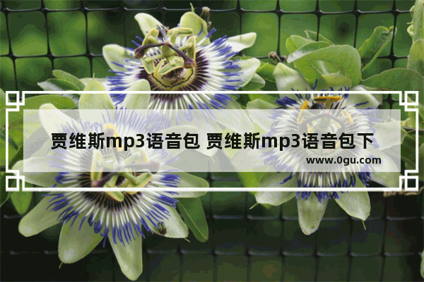 贾维斯mp3语音包 贾维斯mp3语音包下载