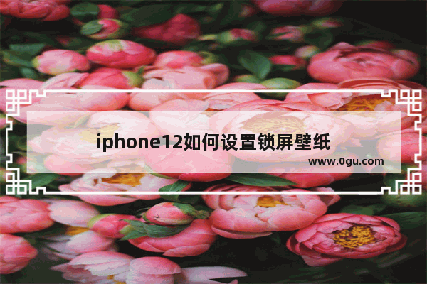 iphone12如何设置锁屏壁纸