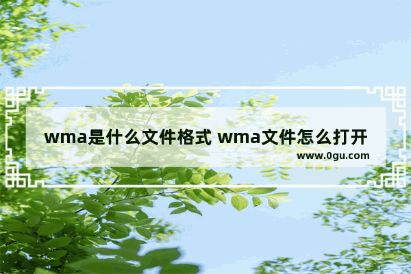 wma是什么文件格式 wma文件怎么打开？