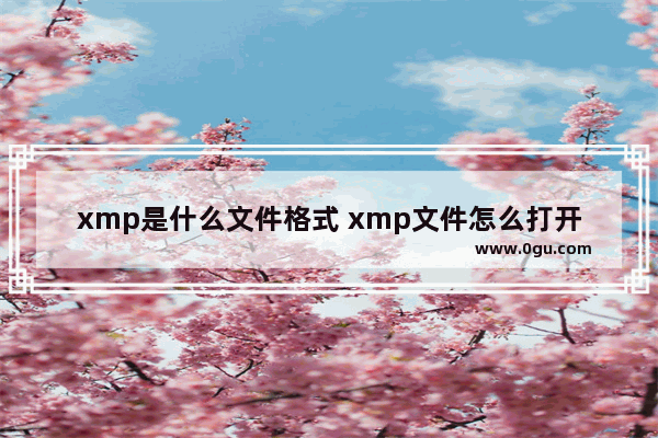 xmp是什么文件格式 xmp文件怎么打开？