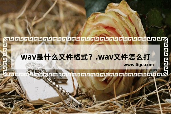 wav是什么文件格式？.wav文件怎么打开？