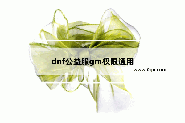 dnf公益服gm权限通用