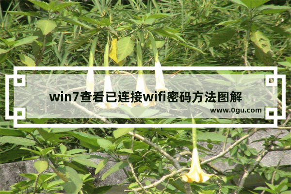 win7查看已连接wifi密码方法图解