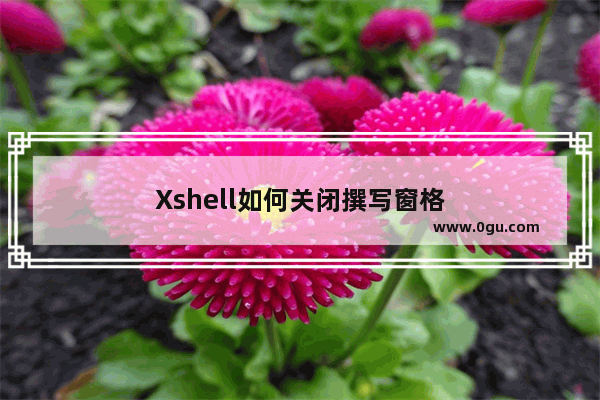 Xshell如何关闭撰写窗格