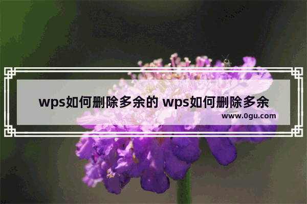 wps如何删除多余的 wps如何删除多余的最后一页