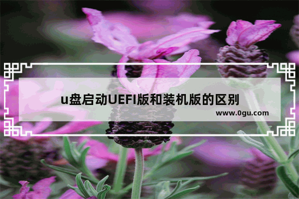 u盘启动UEFI版和装机版的区别