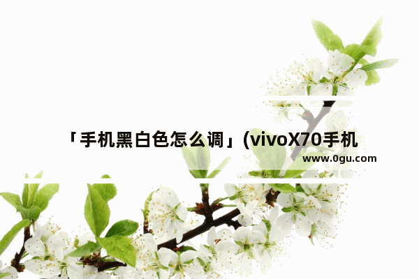 「手机黑白色怎么调」(vivoX70手机黑白色怎么调)