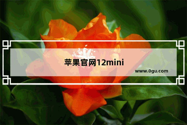 苹果官网12mini