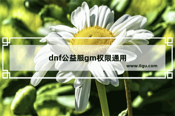 dnf公益服gm权限通用