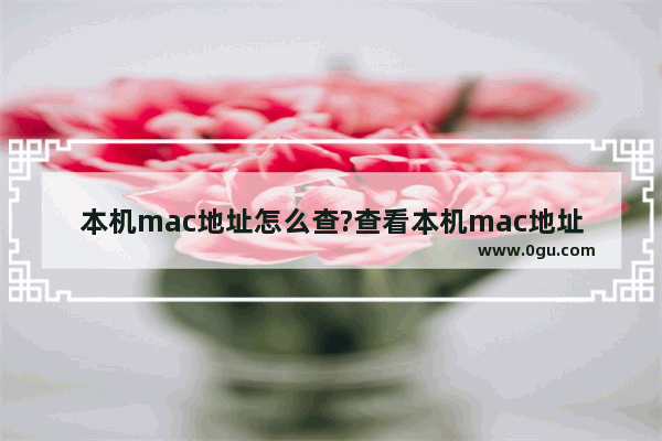 本机mac地址怎么查?查看本机mac地址两种方法介绍