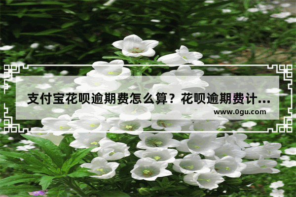 支付宝花呗逾期费怎么算？花呗逾期费计算公式介绍