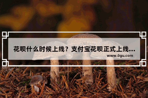 花呗什么时候上线？支付宝花呗正式上线时间曝光