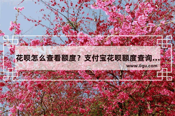 花呗怎么查看额度？支付宝花呗额度查询方法