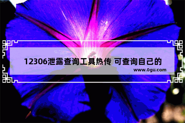 12306泄露查询工具热传 可查询自己的12306账号资料是否泄漏