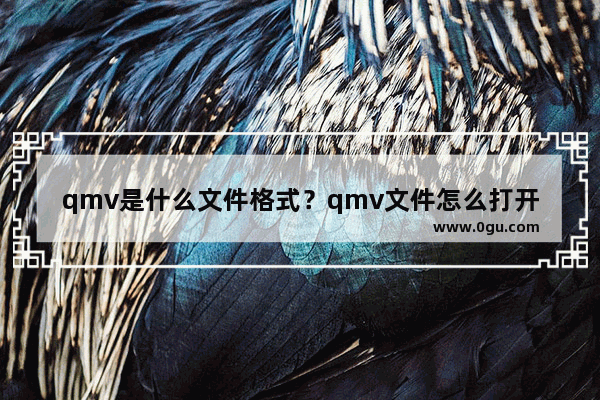 qmv是什么文件格式？qmv文件怎么打开/用什么播放？