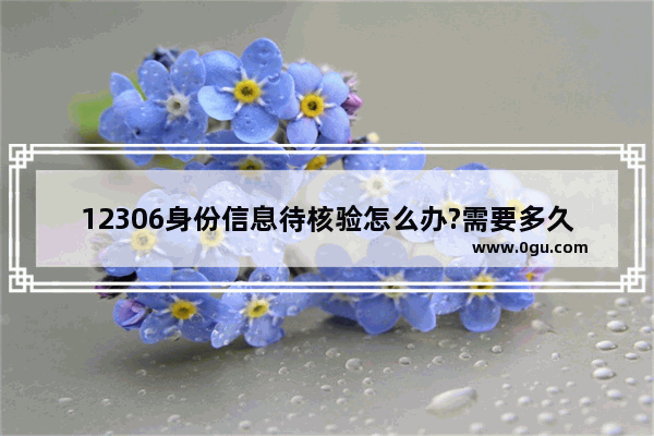 12306身份信息待核验怎么办?需要多久?