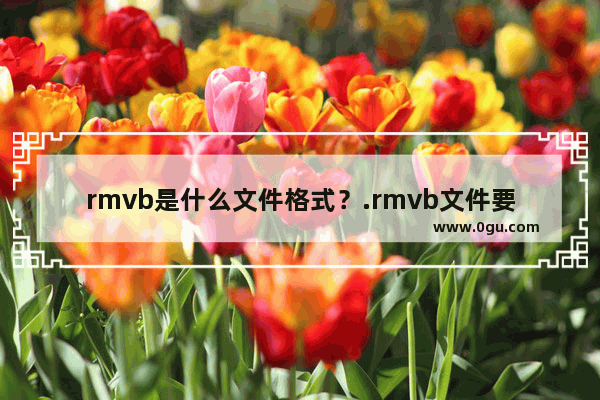 rmvb是什么文件格式？.rmvb文件要怎么打开？