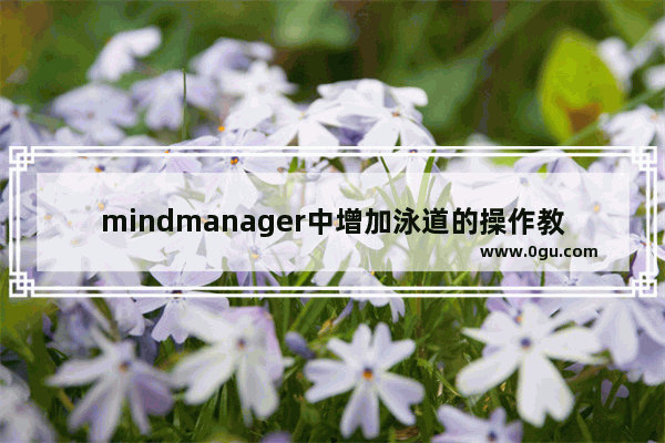 mindmanager中增加泳道的操作教程