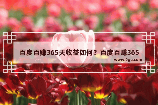 百度百赚365天收益如何？百度百赚365天收益情况查看