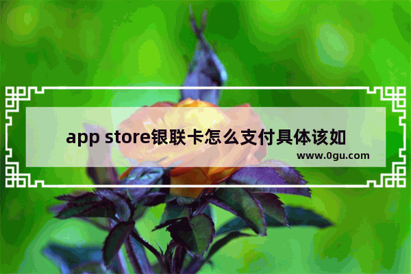 app store银联卡怎么支付具体该如何操作