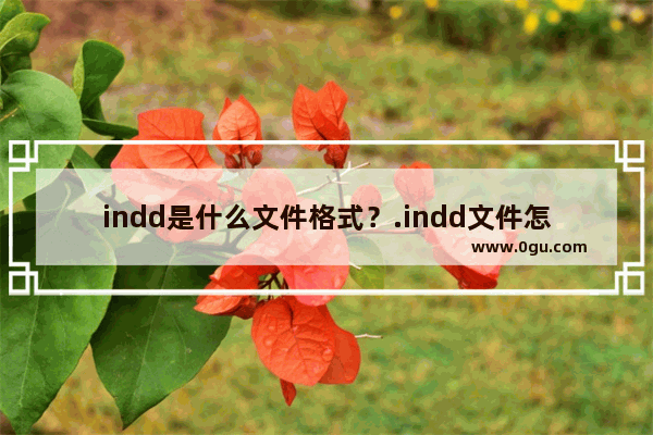 indd是什么文件格式？.indd文件怎么打开？