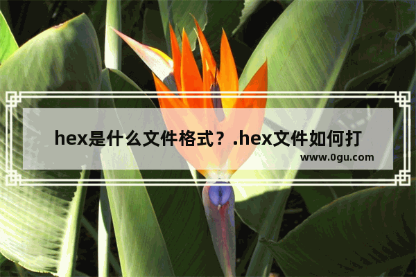 hex是什么文件格式？.hex文件如何打开？