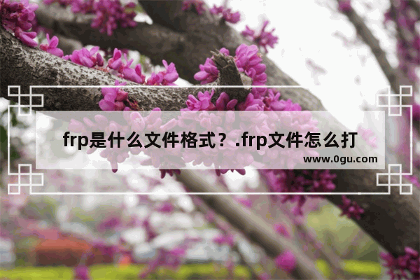 frp是什么文件格式？.frp文件怎么打开？