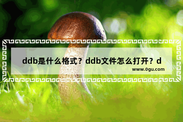 ddb是什么格式？ddb文件怎么打开？ddb打开方法介绍