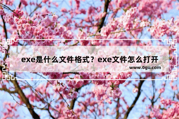 exe是什么文件格式？exe文件怎么打开？