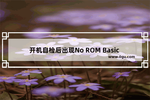 开机自检后出现No ROM Basic System Halted后死机的解决方法