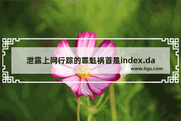 泄露上网行踪的罪魁祸首是index.dat文件 清除index.dat文件的方法