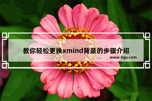 教你轻松更换xmind背景的步骤介绍