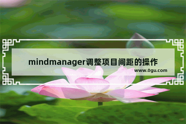 mindmanager调整项目间距的操作教程