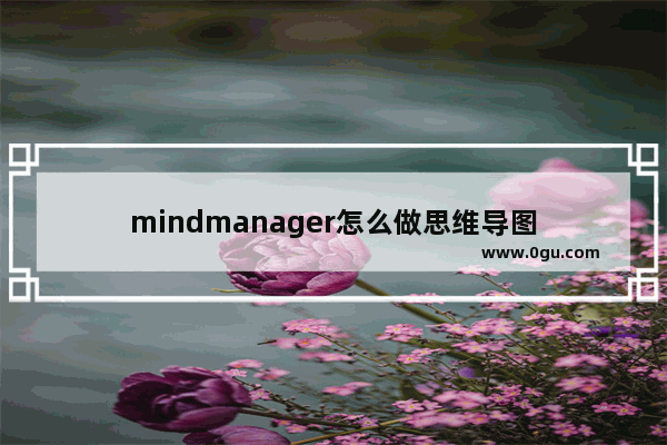 mindmanager怎么做思维导图