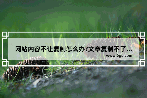 网站内容不让复制怎么办?文章复制不了的两种解决方法