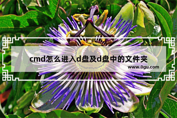 cmd怎么进入d盘及d盘中的文件夹