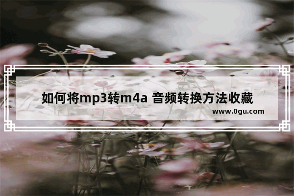 如何将mp3转m4a 音频转换方法收藏