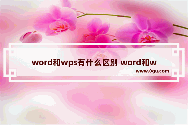 word和wps有什么区别 word和wps是一个软件吗