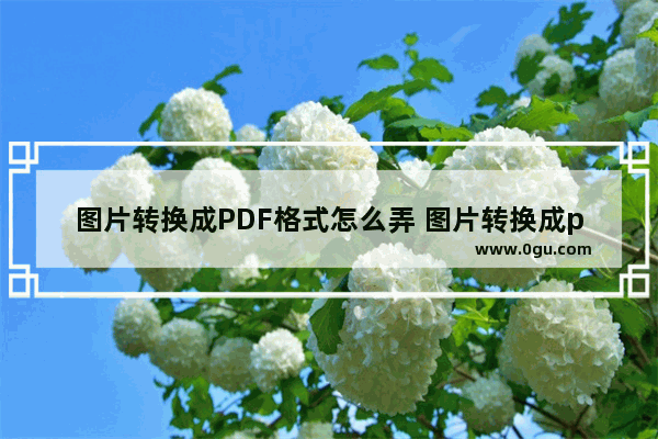 图片转换成PDF格式怎么弄 图片转换成pdf软件哪个好用