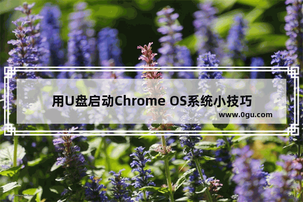 用U盘启动Chrome OS系统小技巧