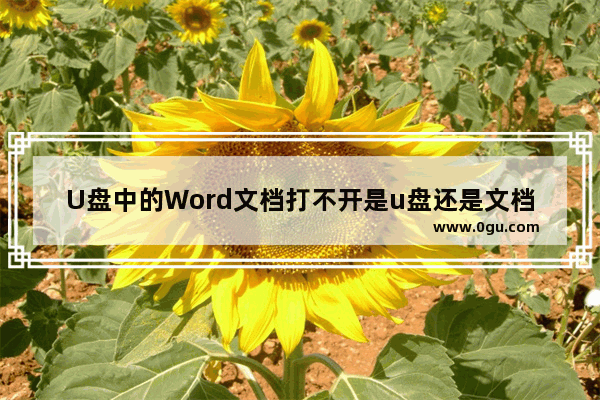 U盘中的Word文档打不开是u盘还是文档问题