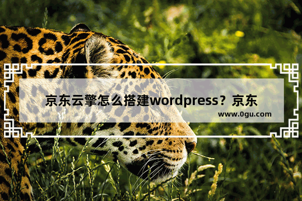 京东云擎怎么搭建wordpress？京东云擎wordpress免费搭建教程