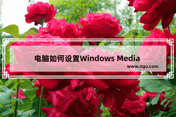 电脑如何设置Windows Media Player播放器 Windows Media Player策略设置图解